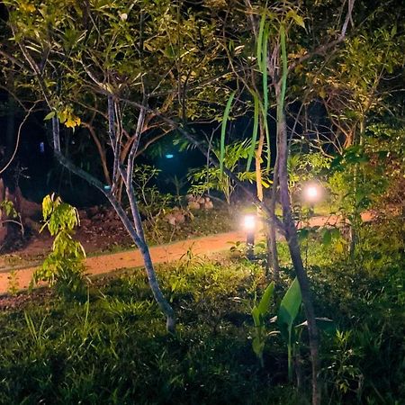 Sigiri Starwing Villa Sigiriya Ngoại thất bức ảnh