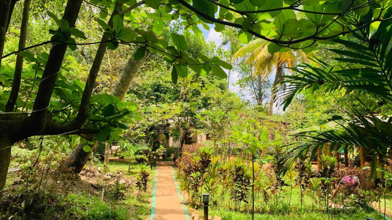 Sigiri Starwing Villa Sigiriya Ngoại thất bức ảnh