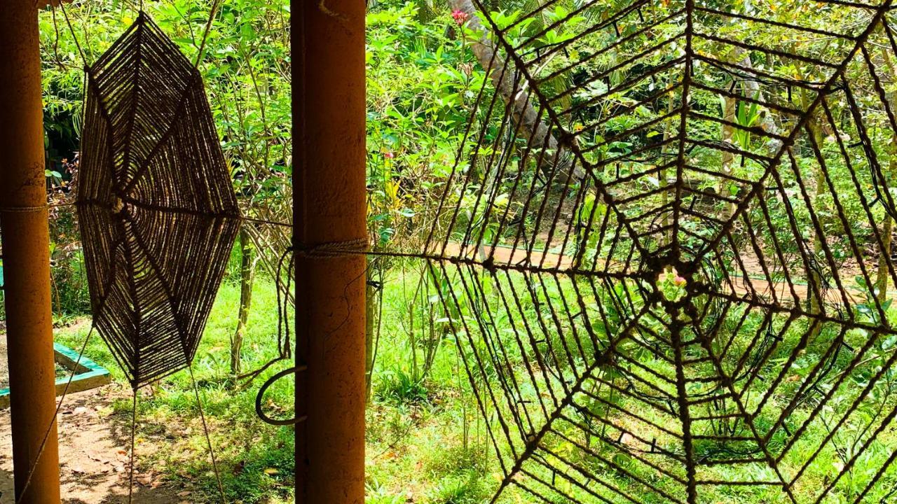 Sigiri Starwing Villa Sigiriya Ngoại thất bức ảnh