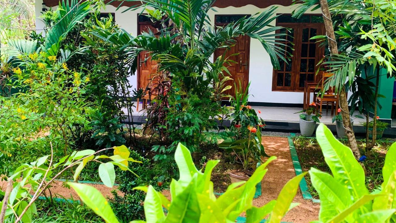 Sigiri Starwing Villa Sigiriya Ngoại thất bức ảnh