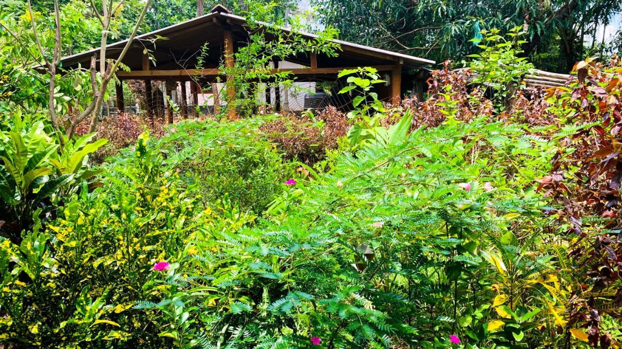 Sigiri Starwing Villa Sigiriya Ngoại thất bức ảnh