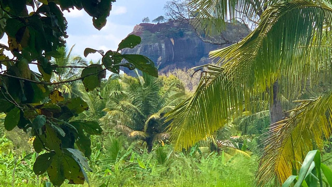 Sigiri Starwing Villa Sigiriya Ngoại thất bức ảnh