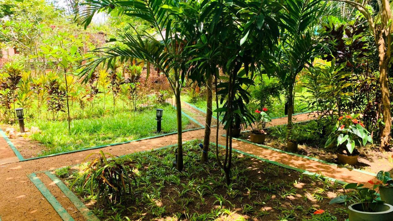 Sigiri Starwing Villa Sigiriya Ngoại thất bức ảnh